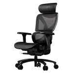 Thunderx3 XTC PRO Ergonomic Chair – Mesh Black (TEGC-3091101.11).