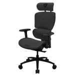 Thunderx3 XTC Ergonomic Chair – Mesh Black (TEGC-3054101.11).